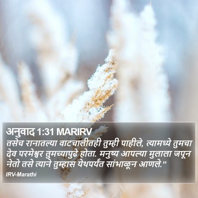 अनुवाद 1:31 MARIRV Bible Verse Image