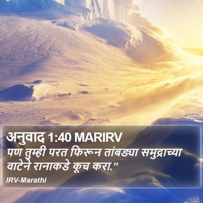 अनुवाद 1:40 MARIRV Bible Verse Image