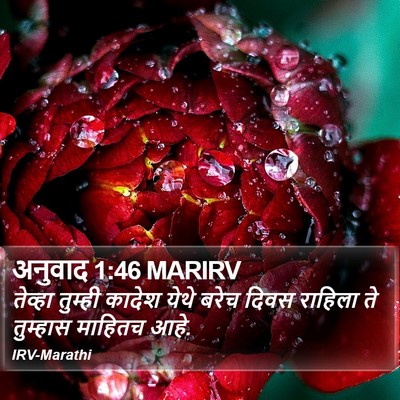अनुवाद 1:46 MARIRV Bible Verse Image