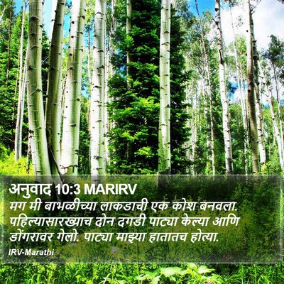 अनुवाद 10:3 MARIRV Bible Verse Image