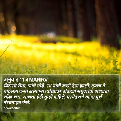 अनुवाद 11:4 MARIRV Bible Verse Image