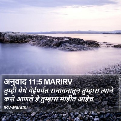 अनुवाद 11:5 MARIRV Bible Verse Image