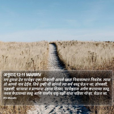 अनुवाद 12:11 MARIRV Bible Verse Image