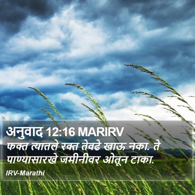 अनुवाद 12:16 MARIRV Bible Verse Image