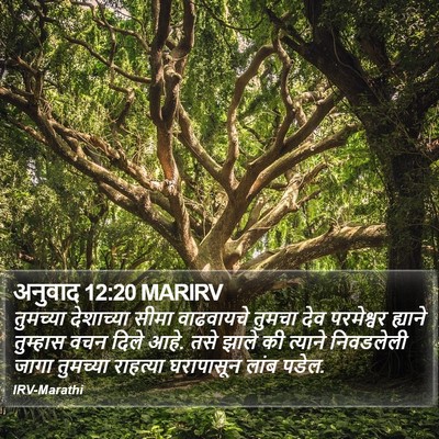 अनुवाद 12:20 MARIRV Bible Verse Image