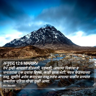 अनुवाद 12:6 MARIRV Bible Verse Image