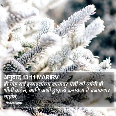 अनुवाद 13:11 MARIRV Bible Verse Image