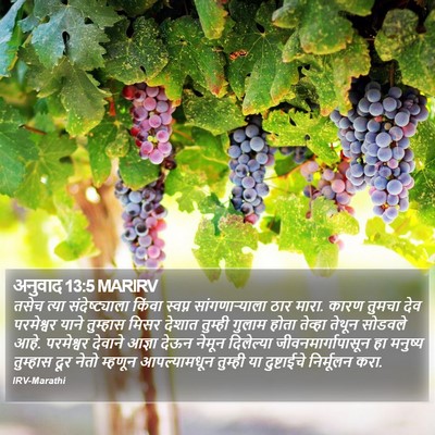 अनुवाद 13:5 MARIRV Bible Verse Image