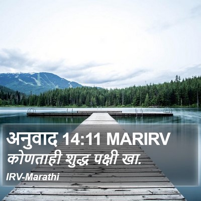 अनुवाद 14:11 MARIRV Bible Verse Image