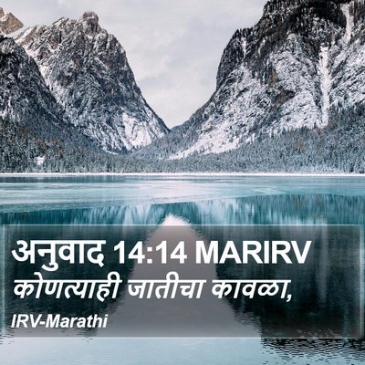 अनुवाद 14:14 MARIRV Bible Verse Image