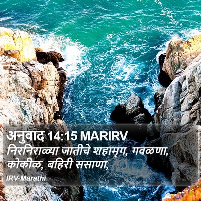 अनुवाद 14:15 MARIRV Bible Verse Image