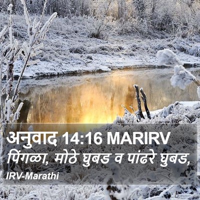 अनुवाद 14:16 MARIRV Bible Verse Image