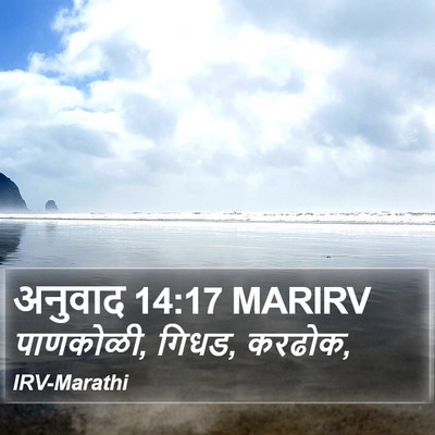 अनुवाद 14:17 MARIRV Bible Verse Image