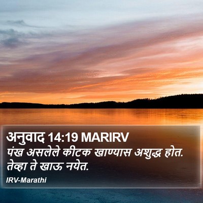 अनुवाद 14:19 MARIRV Bible Verse Image