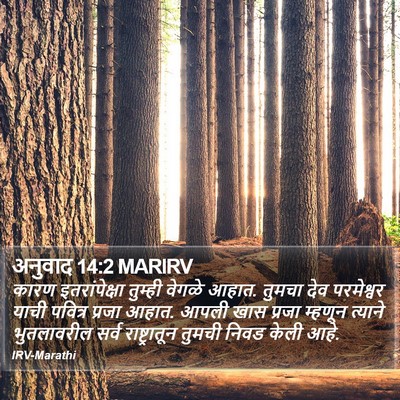 अनुवाद 14:2 MARIRV Bible Verse Image