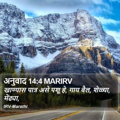 अनुवाद 14:4 MARIRV Bible Verse Image
