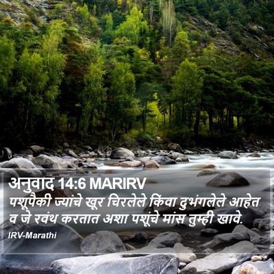 अनुवाद 14:6 MARIRV Bible Verse Image