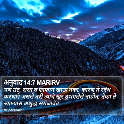 अनुवाद 14:7 MARIRV Bible Verse Image