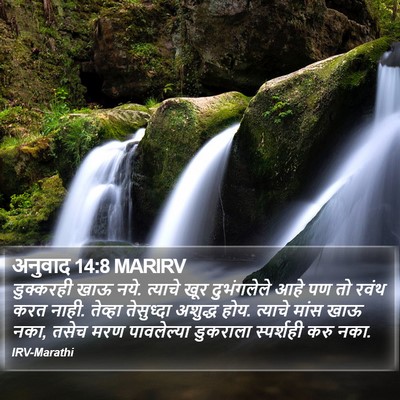 अनुवाद 14:8 MARIRV Bible Verse Image