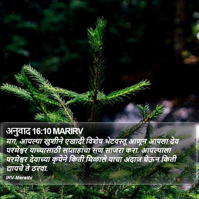 अनुवाद 16:10 MARIRV Bible Verse Image