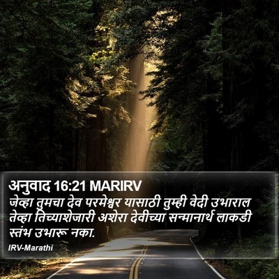 अनुवाद 16:21 MARIRV Bible Verse Image