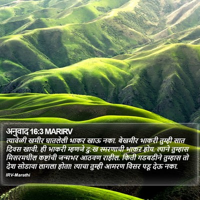 अनुवाद 16:3 MARIRV Bible Verse Image