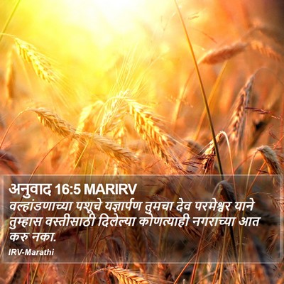 अनुवाद 16:5 MARIRV Bible Verse Image