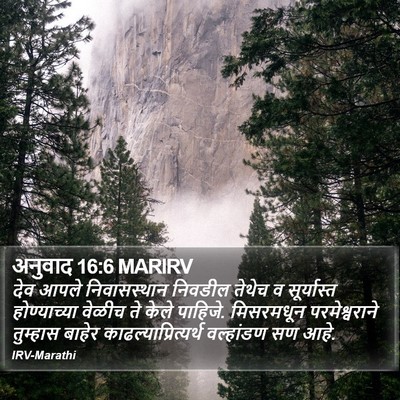 अनुवाद 16:6 MARIRV Bible Verse Image