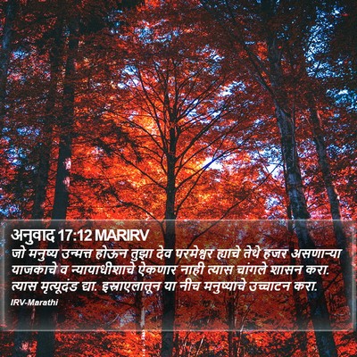 अनुवाद 17:12 MARIRV Bible Verse Image