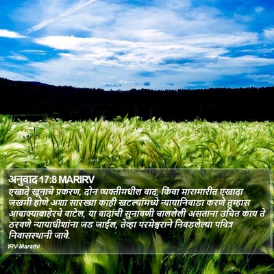 अनुवाद 17:8 MARIRV Bible Verse Image