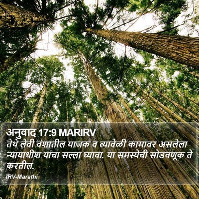 अनुवाद 17:9 MARIRV Bible Verse Image