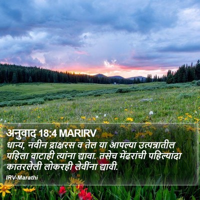 अनुवाद 18:4 MARIRV Bible Verse Image