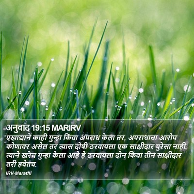 अनुवाद 19:15 MARIRV Bible Verse Image