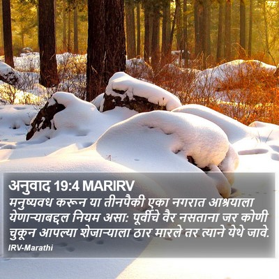 अनुवाद 19:4 MARIRV Bible Verse Image