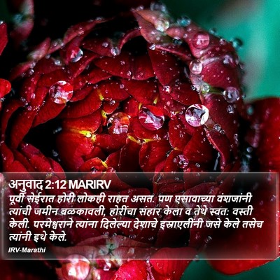 अनुवाद 2:12 MARIRV Bible Verse Image