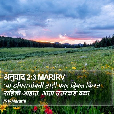 अनुवाद 2:3 MARIRV Bible Verse Image