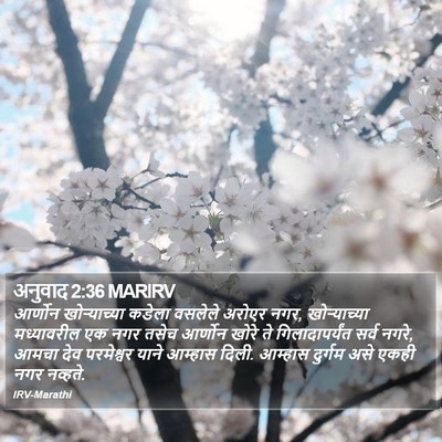 अनुवाद 2:36 MARIRV Bible Verse Image