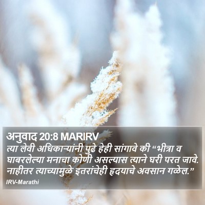 अनुवाद 20:8 MARIRV Bible Verse Image