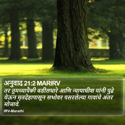 अनुवाद 21:2 MARIRV Bible Verse Image