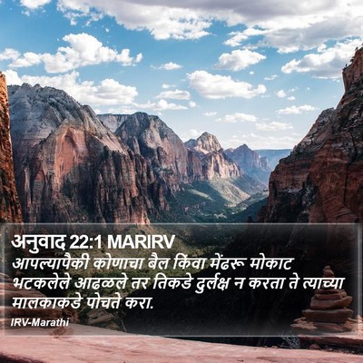 अनुवाद 22:1 MARIRV Bible Verse Image