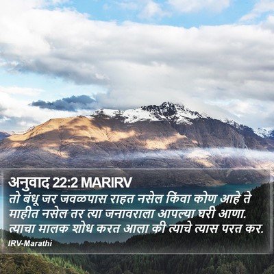 अनुवाद 22:2 MARIRV Bible Verse Image