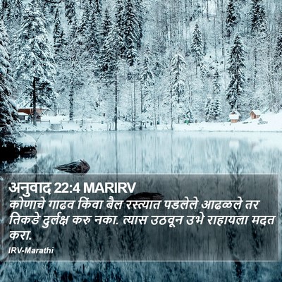 अनुवाद 22:4 MARIRV Bible Verse Image