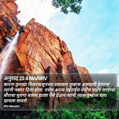 अनुवाद 23:4 MARIRV Bible Verse Image