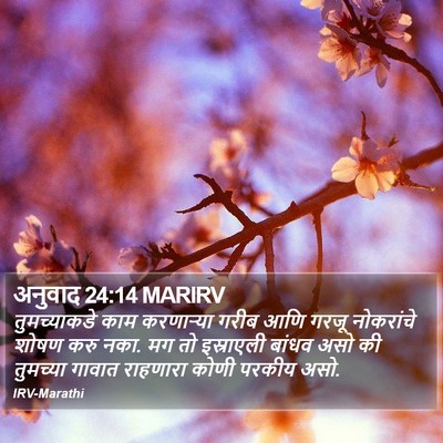 अनुवाद 24:14 MARIRV Bible Verse Image