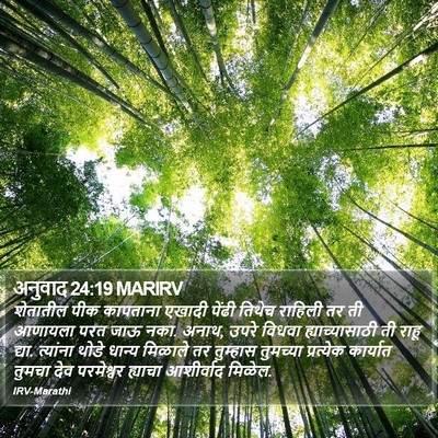 अनुवाद 24:19 MARIRV Bible Verse Image