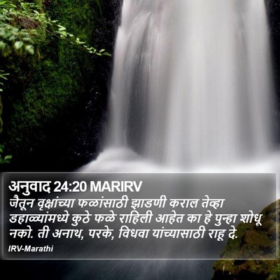 अनुवाद 24:20 MARIRV Bible Verse Image