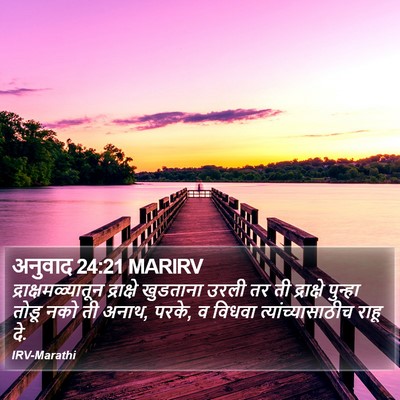अनुवाद 24:21 MARIRV Bible Verse Image
