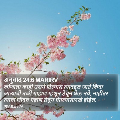 अनुवाद 24:6 MARIRV Bible Verse Image