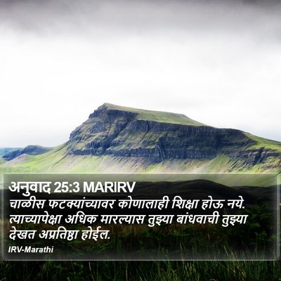 अनुवाद 25:3 MARIRV Bible Verse Image
