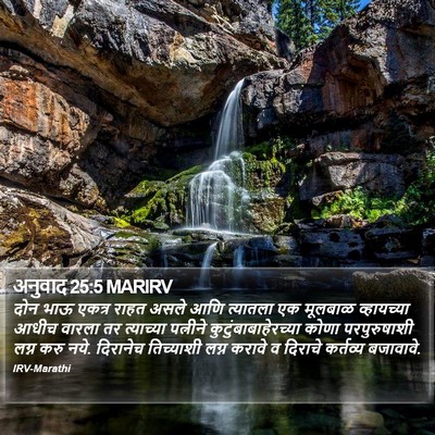 अनुवाद 25:5 MARIRV Bible Verse Image